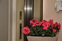 Oemer Hayyam Suites Isztambul Törökország